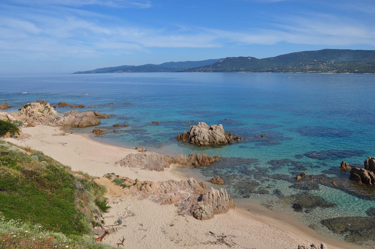 Lecci E Murta Propriano (Corsica)